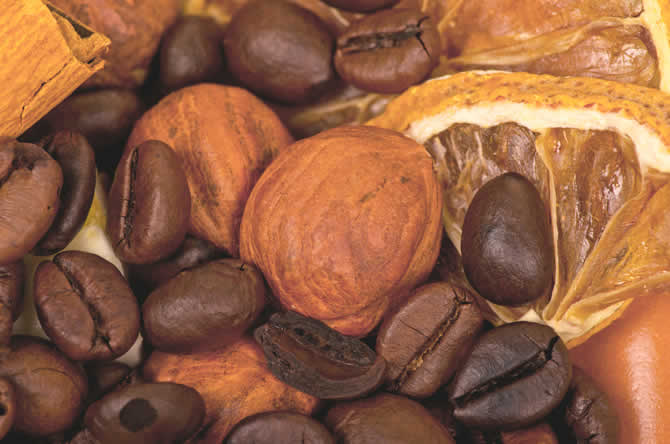 noci e caffè per il cancro della prostata