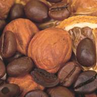 Cancro della Prostata: Prevenzione con Caffè e Noci