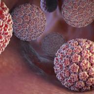 Vaccinazione Papilloma Virus (HPV): Aggiornamenti